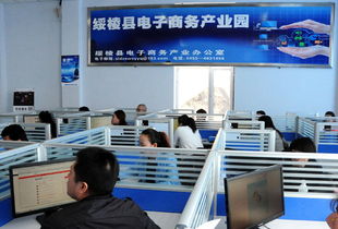 綏化市各地電子商務(wù)發(fā)展迅猛