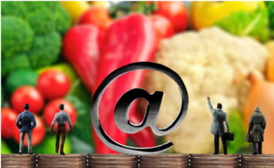 【模式研究】農村電商的特點、模式,80%在這里