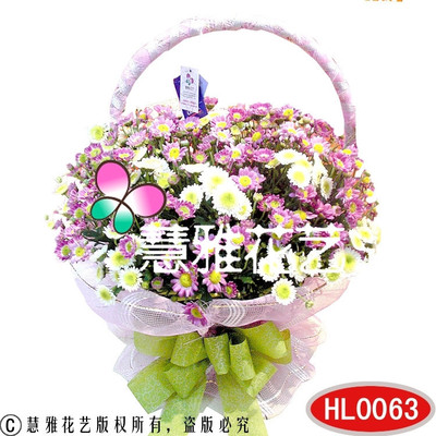 小雛菊花籃 一抹淡雅花語，織就你心動(dòng)瞬間的生活序詩